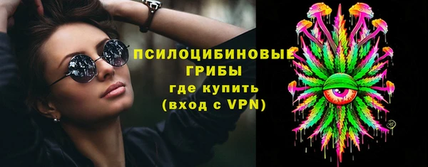 гашик Алексин