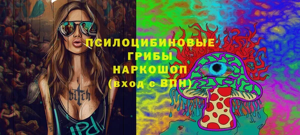 гашик Алексин