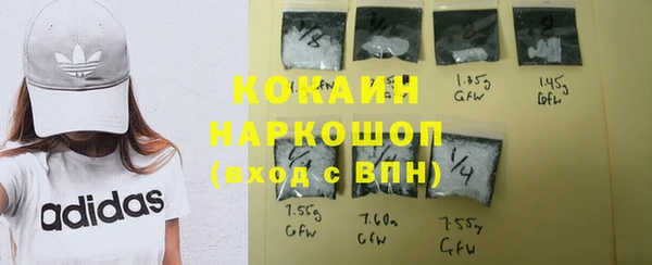 гашик Алексин