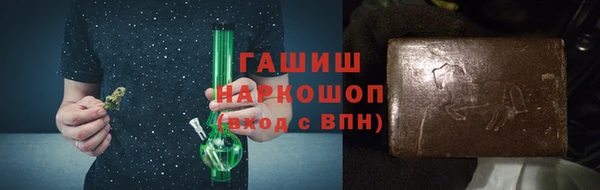 гашик Алексин