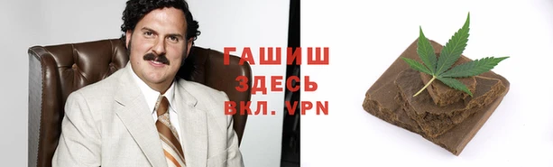гашик Алексин