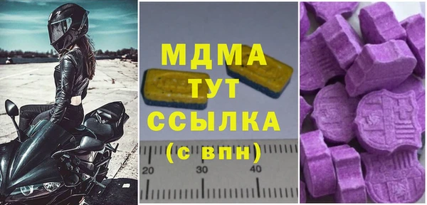 гашик Алексин