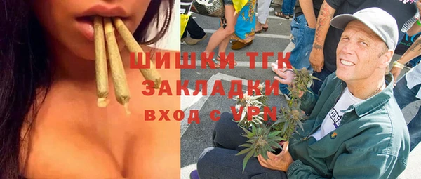 гашик Алексин