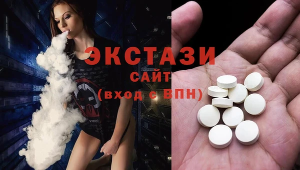гашик Алексин