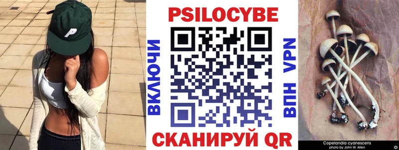 Галлюциногенные грибы мицелий  Шелехов 